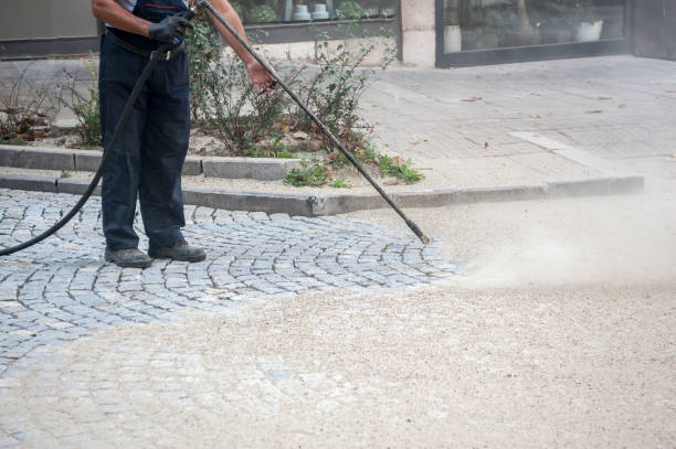 Best Building Exterior Washing  in Shelby, MI