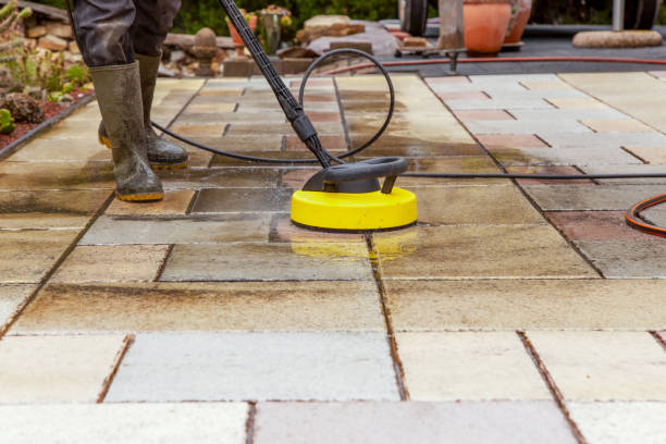 Best Roof Washing  in Shelby, MI