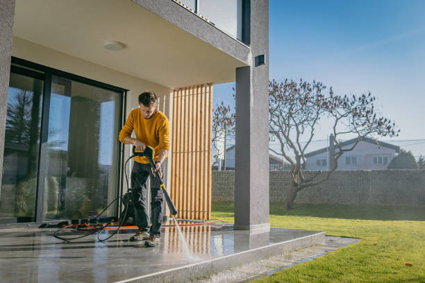 Best Pre-Holiday Cleaning  in Shelby, MI