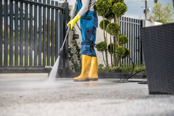 Best Dumpster Area Cleaning  in Shelby, MI